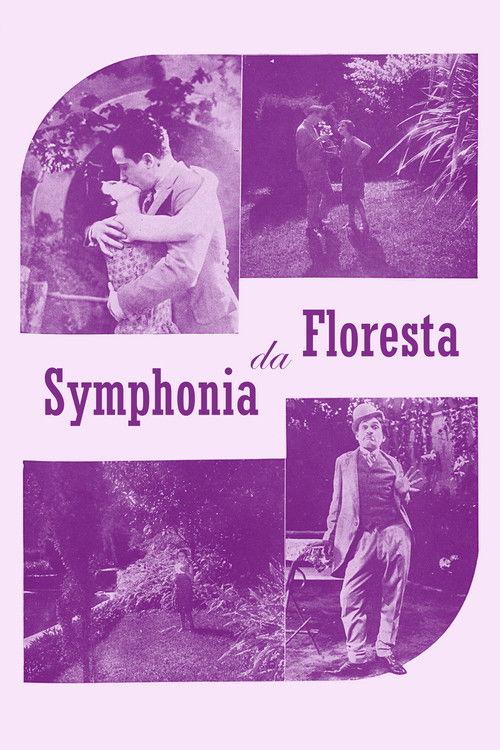 Sinfonia da Floresta film afişi