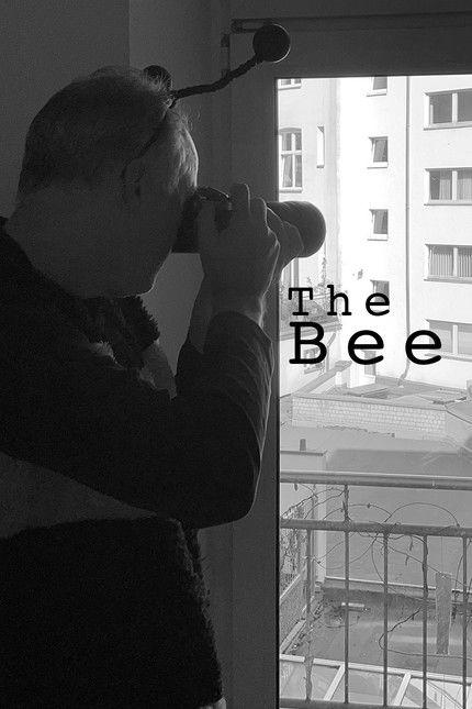 The Bee Sezon 2