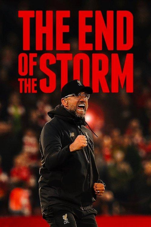 The End of the Storm film afişi