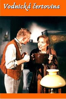 Vodnická čertovina film afişi