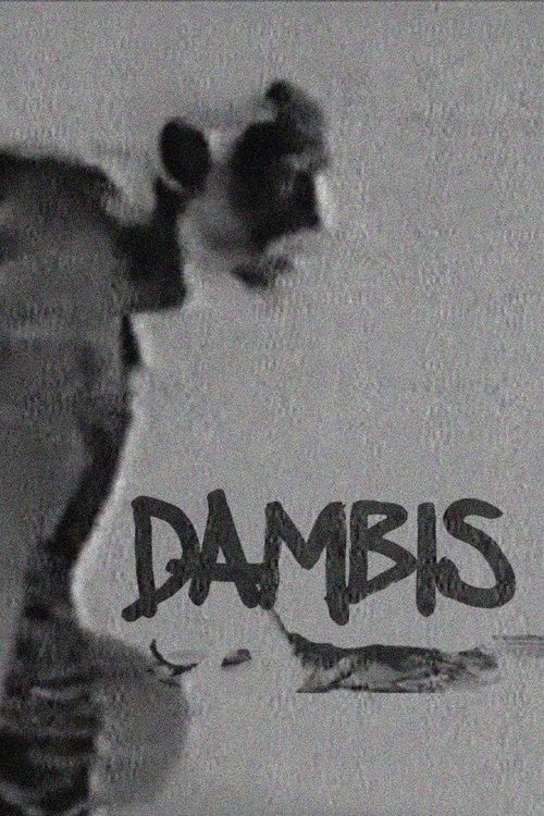Dambis film afişi