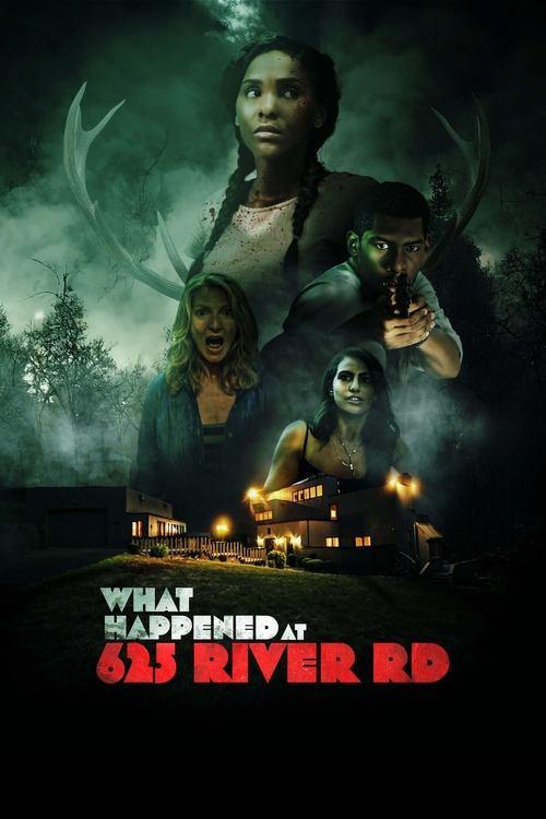 What Happened at 625 River Road? film afişi