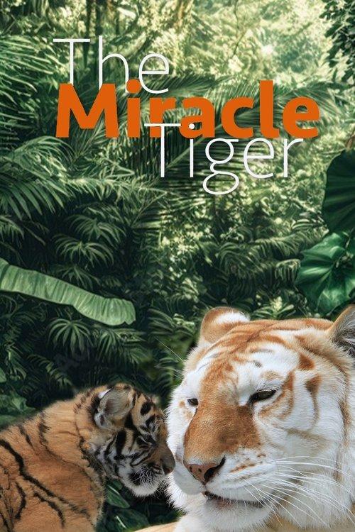The Miracle Tiger dizi afişi