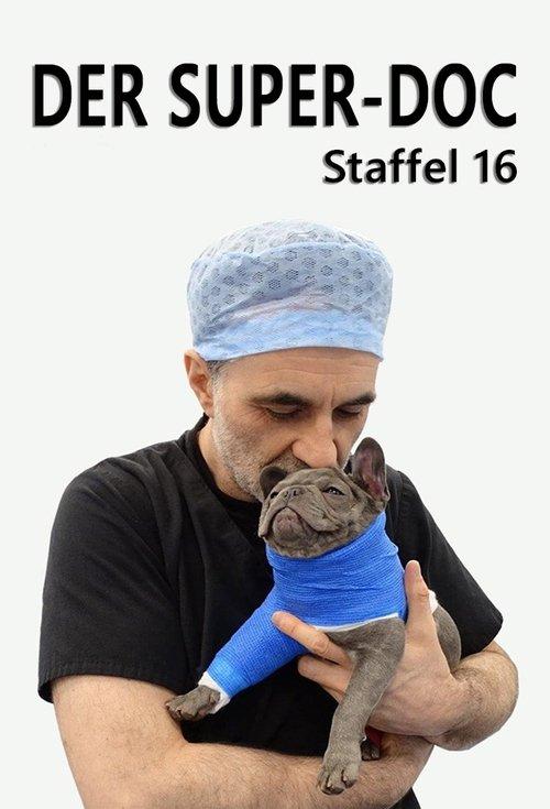 The Supervet: Noel Fitzpatrick Sezon 16