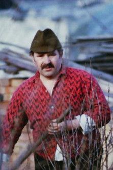 Aedniku kevad film afişi