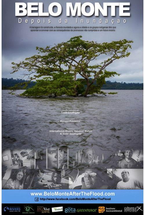 Belo Monte: After the Flooding film afişi