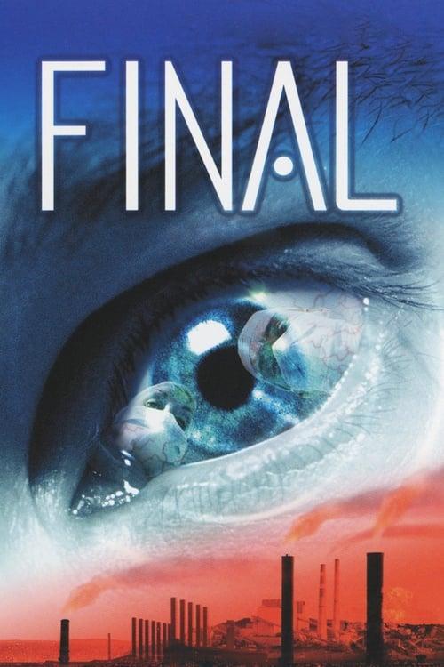 Final film afişi