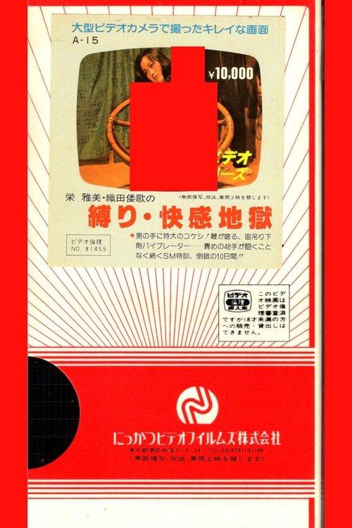 Bondage and Pleasure Hell film afişi