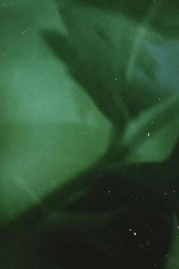 The Crystal Text film afişi