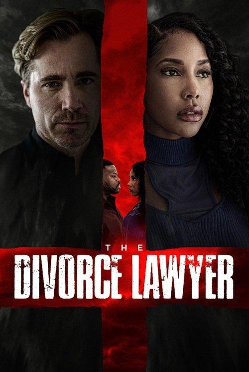 The Divorce Lawyer film afişi