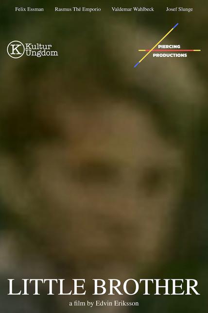 Little Brother film afişi