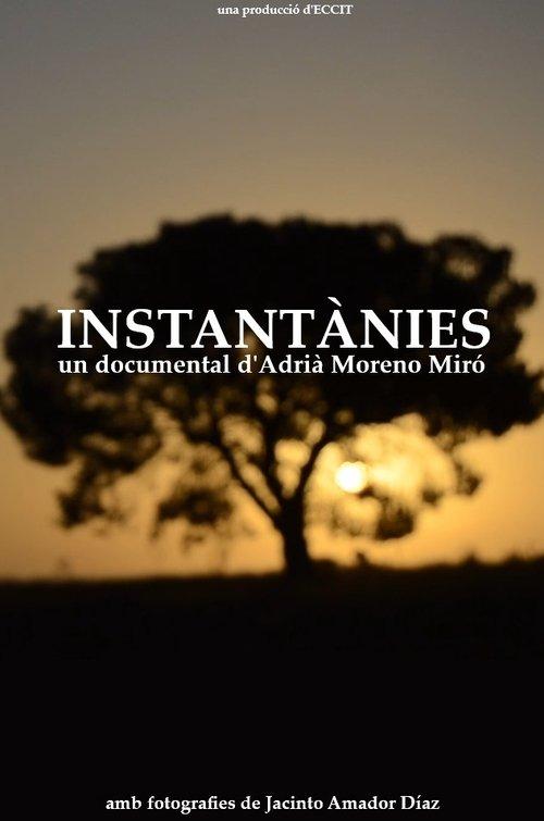 Snapshots film afişi