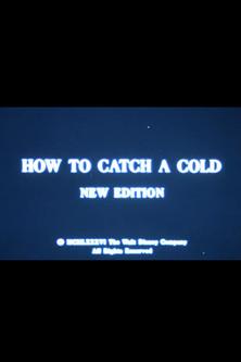 How to Catch a Cold film afişi