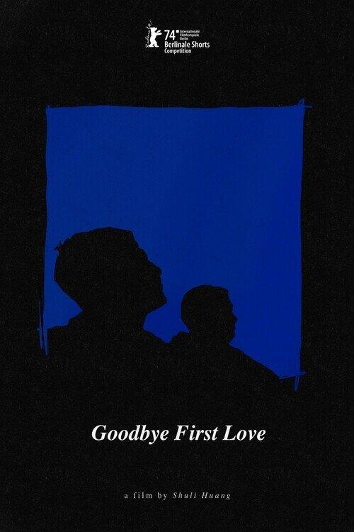 Goodbye First Love film afişi