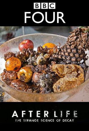 After Life: The Strange Science of Decay film afişi