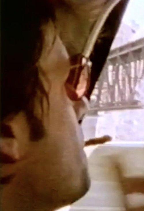 Seeing Through Paul film afişi