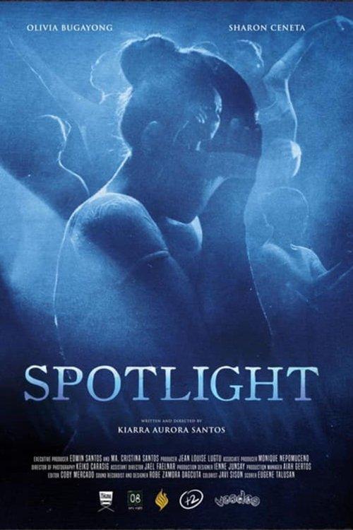 Spotlight film afişi
