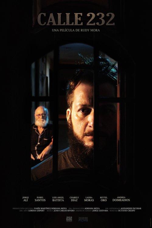 Calle 232 film afişi