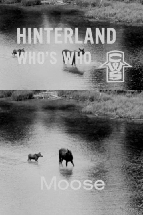 Hinterland Who's Who: Moose film afişi