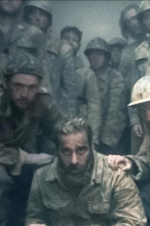 11.11.18 film afişi