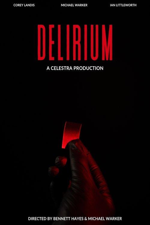 Delirium film afişi
