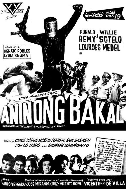Aninong Bakal film afişi