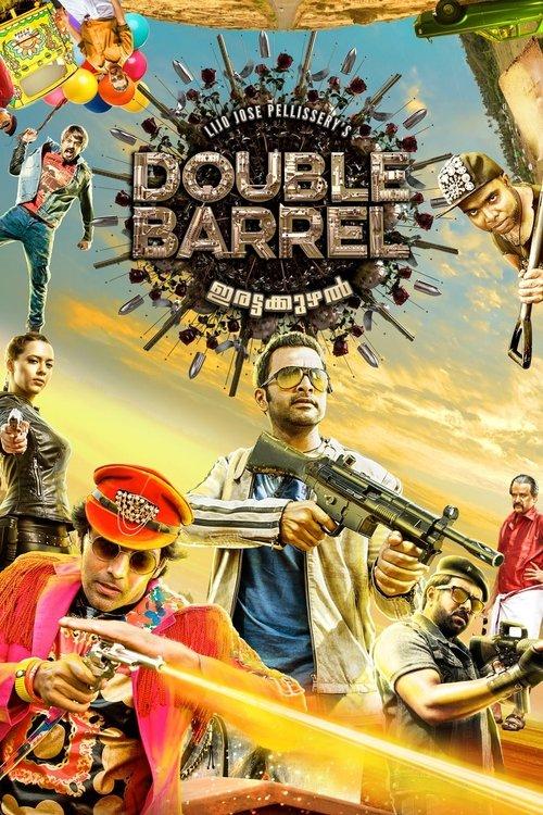 Double Barrel film afişi