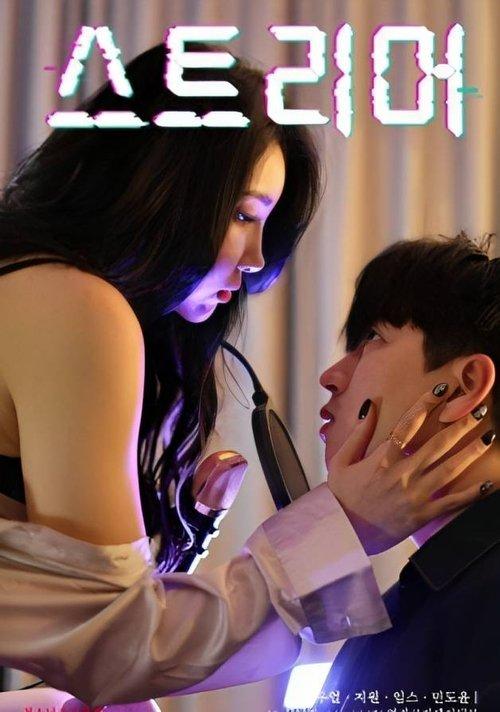 Adult Streamer film afişi