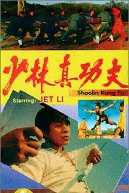 Shaolin Kung Fu film afişi