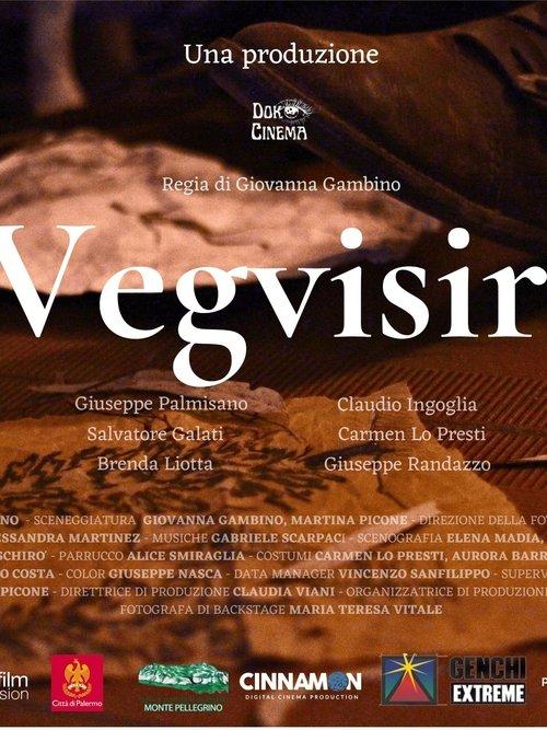 Vegvisir film afişi