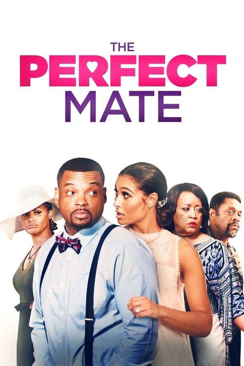 The Perfect Mate film afişi