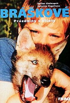 Bráškové dizi afişi