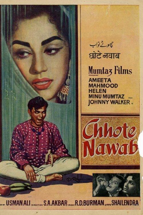 Chhote Nawab film afişi