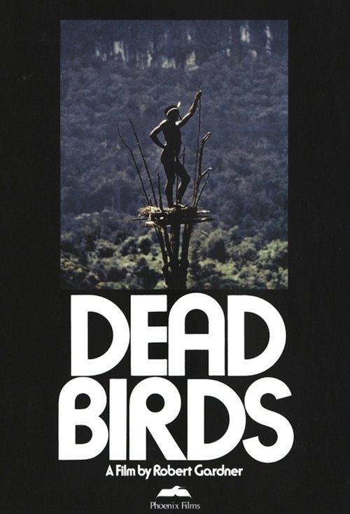 Dead Birds film afişi