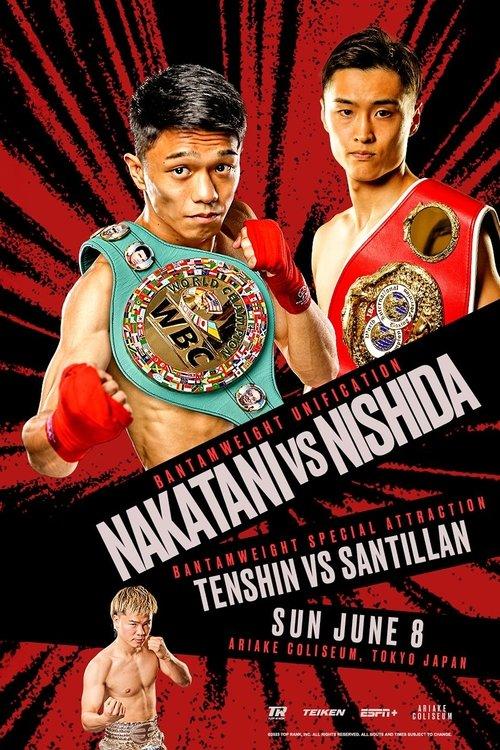 PRIME VIDEO BOXING 13 film afişi