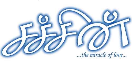 Sachein logo