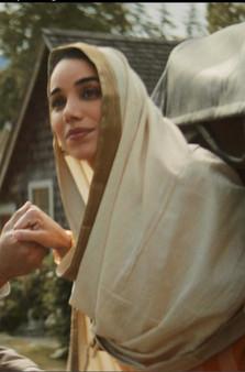 Heritage Minutes: Paldi film afişi