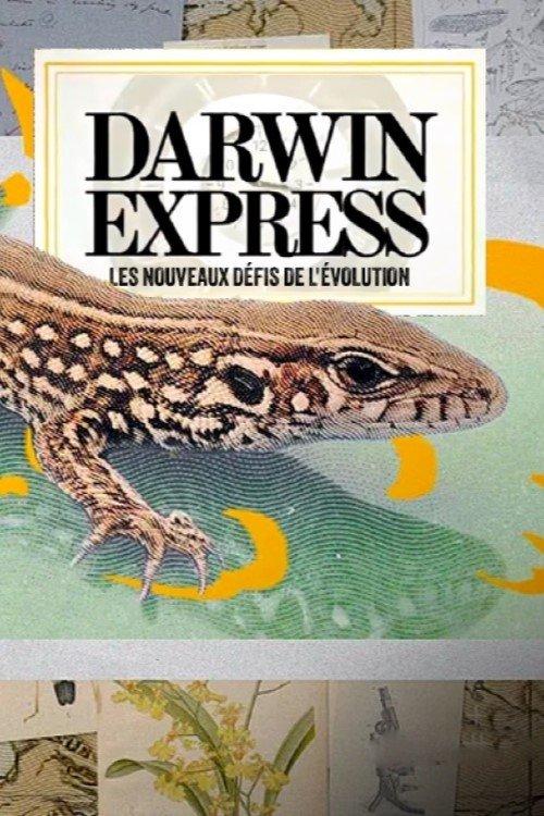 Darwin express - Les nouveaux défis de l'évolution film afişi