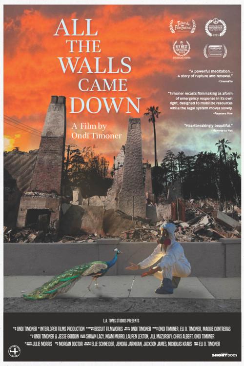 All the Walls Came Down film afişi