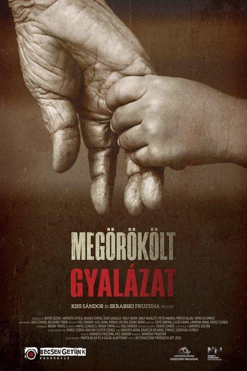 Megörökölt gyalázat film afişi