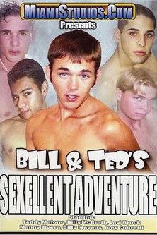 Bill & Ted's Sexellent Adventure film afişi