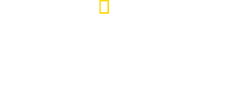 Michael Palin in North Korea logo