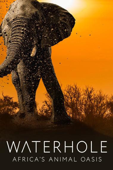 Waterhole: Africa's Animal Oasis dizi afişi