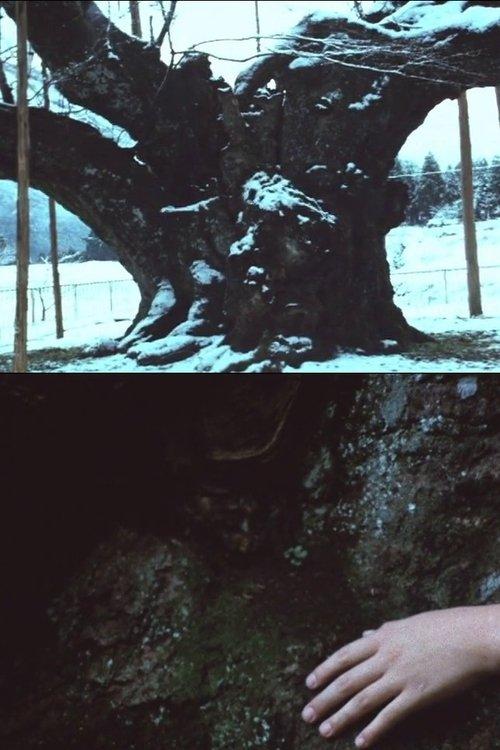 The Cherry Tree with Gray Blossoms film afişi