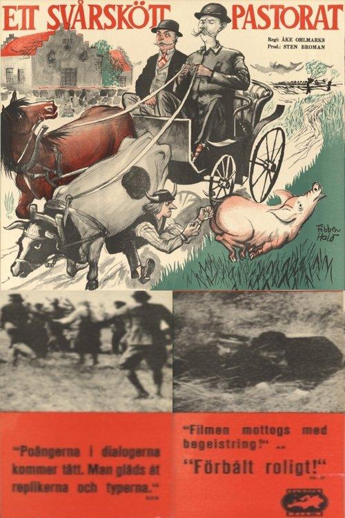 Ett svårskött pastorat film afişi