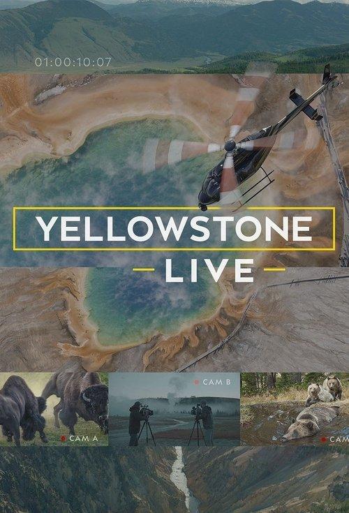 Yellowstone Live dizi afişi