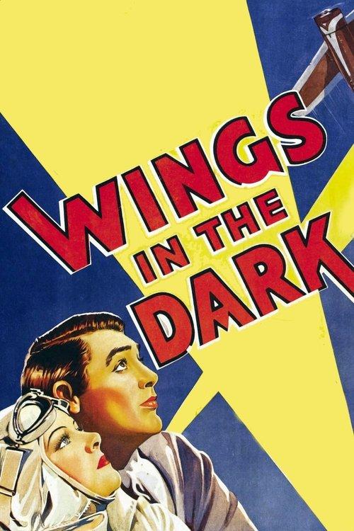 Wings in the Dark film afişi