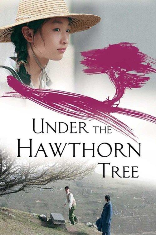 Under the Hawthorn Tree film afişi