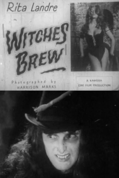 Witches Brew film afişi