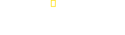 Ancient X-Files logo